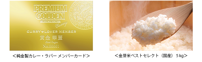 プレミアムゴールデンカレーキャンペーンサイト WEBムービー