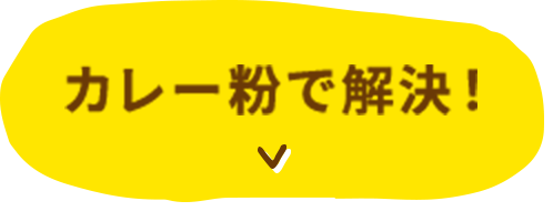 カレー粉で解決!