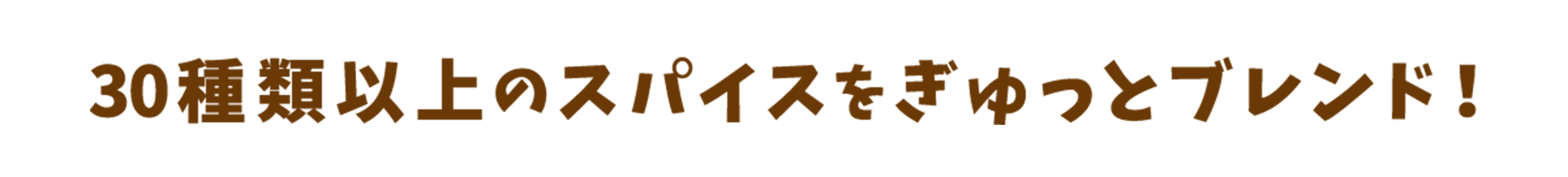 30種類以上のスパイスをぎゅっとブレンド！
