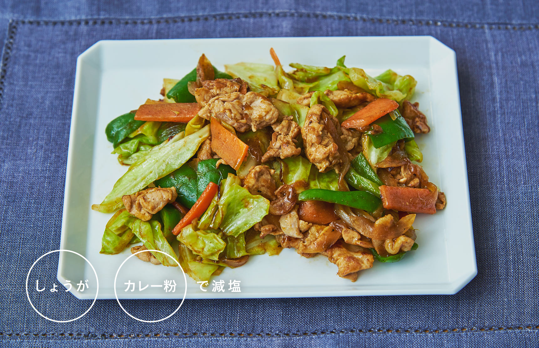 肉野菜カレー炒め｜減塩料理おいしくしたい！｜エスビー食品株式会社