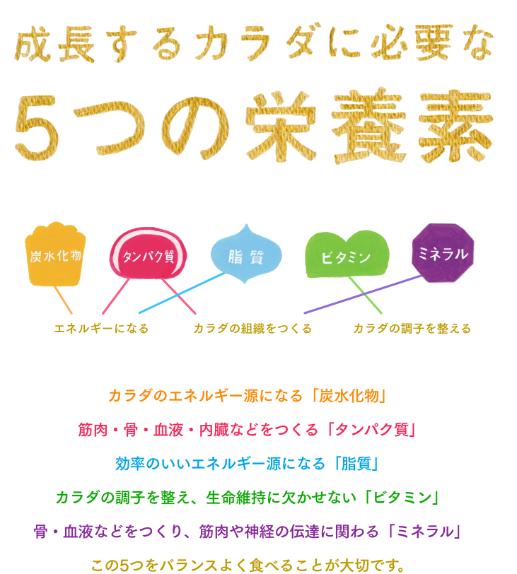 成長するカラダに必要な5つの栄養素