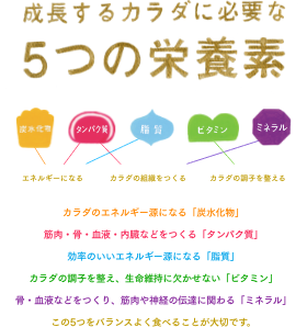 成長するカラダに必要な5つの栄養素