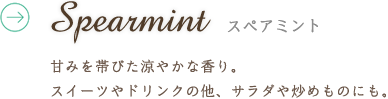 Spearmint スペアミント