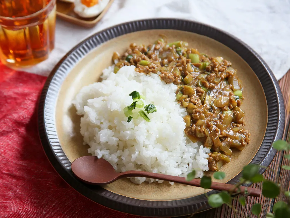 なすと野沢菜の信州キーマカレーのイメージ
