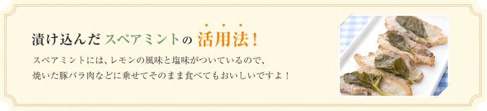 漬け込んだフレッシュハーブの活用法！スペアミントには、レモンの風味と塩味がついているので、焼いた豚バラ肉などに乗せてそのまま食べてもおいしいですよ！