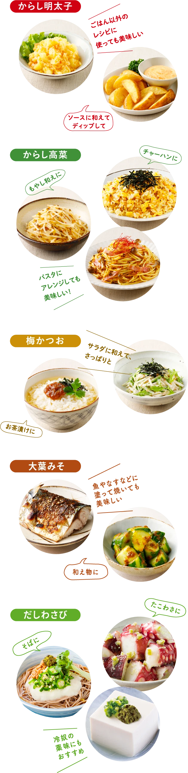 からし明太子 ごはん以外のレシピに使っても美味しい ソースに和えてディップして, からし高菜 もやし和えに チャーハンに パスタにアレンジしても美味しい！, 梅かつお お茶漬けに サラダに和えて、さっぱりと, 大葉みそ 魚やなすなどに塗って焼いても美味しい 和え物に, だしわさび そばに 冷奴の薬味にもおすすめ たこわさに