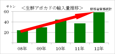 近年のアボカド需要の増加