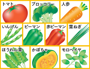 10種類の緑黄色野菜
