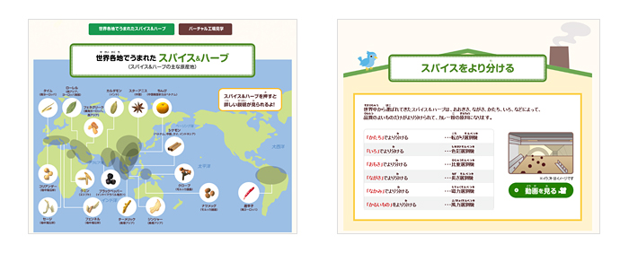 Ｓ&Ｂスパイス&ハーブキッズサイト