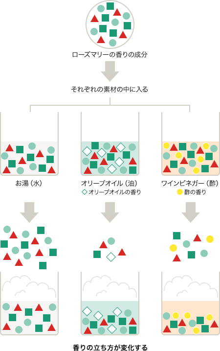 ローズマリーの香りの成分→それぞれの素材の中に入る お湯 オリーブオイル（油） ワインビネガー（酢） ダイヤのアイコン…オリーブオイルの香り 丸のアイコン…酢の香り 香りの立ち方が変化する