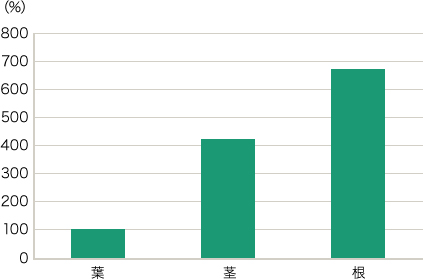 ドデセナール含有量相対比 縦軸：0～800（%） 横軸：葉 茎 根