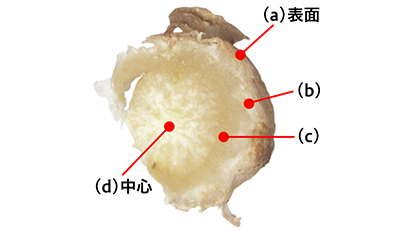 （a）表面 （b） （c） （d）中心