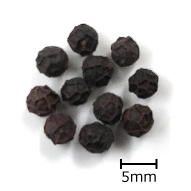 5mm