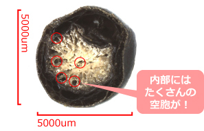 5000um×5000um 内部にはたくさんの空胞が！