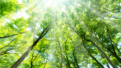 環境 Environment