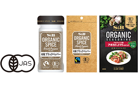 はじめよう!スパイスカレー