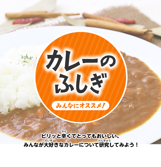 カレーのふしぎ