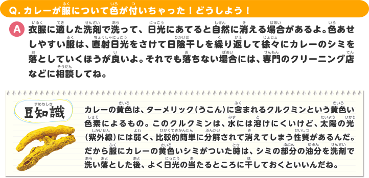 Q.カレーが服に着いて色が付いちゃった！どうしよう！ A.衣服に適した洗剤で洗って、日光にあてると自然に消える場合があるよ。でも、色あせしやすい服は、直射日光をさけて日陰干しを繰り返して徐々にカレーのシミを落としいくほうが良いよ。それでも落ちない場合には、専門のクリーニング店などに相談してね。＜豆知識＞カレーの黄色は、ターメリック（うこん）に含まれるクルクミンという黄色い色素によるもの。このクルクミンは、水には溶けにくいけど、太陽の光（紫外線）には弱く、比較的簡単に分解され消えてしまう性質があるんだ。だから衣服にカレーの黄色いシミがついた時は、シミの部分の油分を洗剤で洗い落とした後、よく日光の当たるところに干しておくといいんだね。