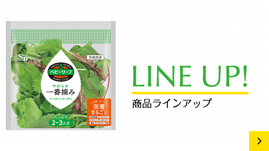 LINE UP! 商品ラインアップ