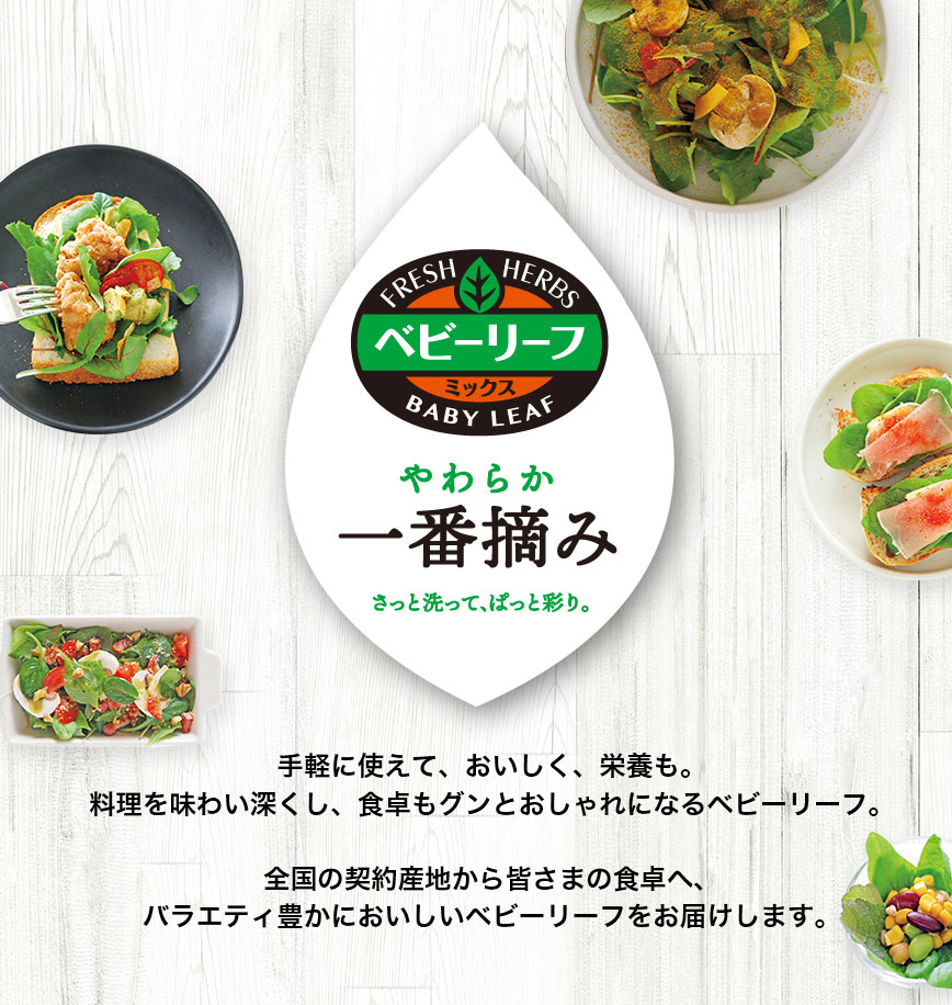 手軽に使えて、おいしく、栄養も。
				料理を味わい深くし、食卓もグンとおしゃれになるベビーリーフ。全国の契約産地から皆さまの食卓へ、
				バラエティ豊かにおいしいベビーリーフをお届けします。