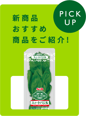 新商品おすすめ商品をご紹介！