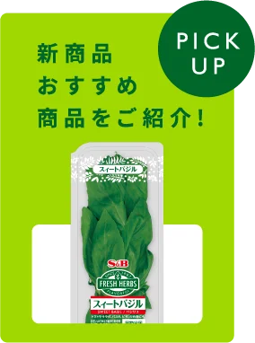 新商品おすすめ商品をご紹介！