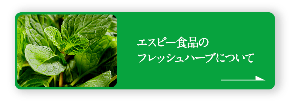 エスビー食品のフレッシュハーブについて