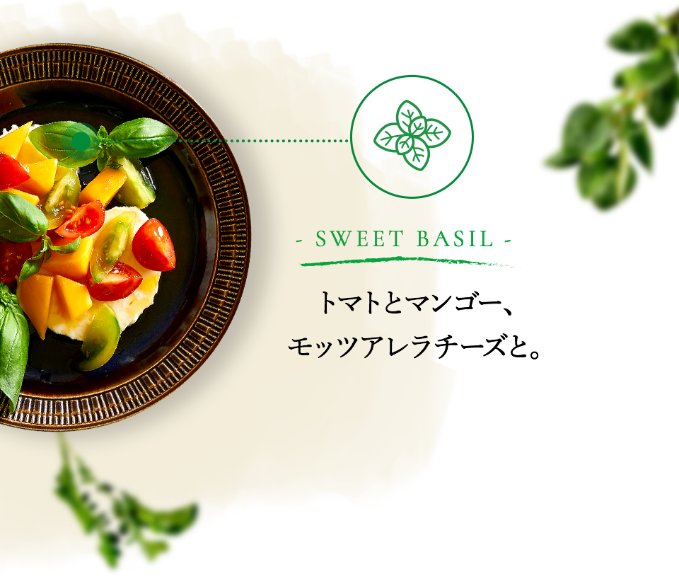 PROFILE & RECIPE