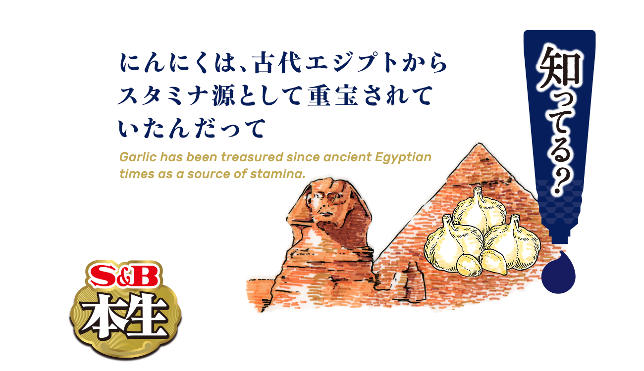 にんにくは、古代エジプトからスタミナ源として重宝されていたんだって