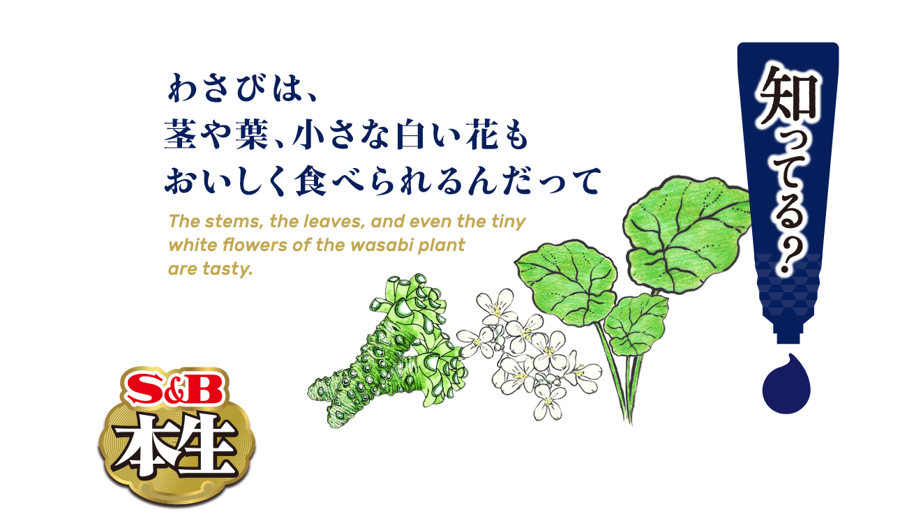 知ってる わさびは 茎や葉 小さな白い花もおいしく食べられるんだって S B 本生シリーズ 最香の贅沢 特設サイト S B エスビー食品株式会社
