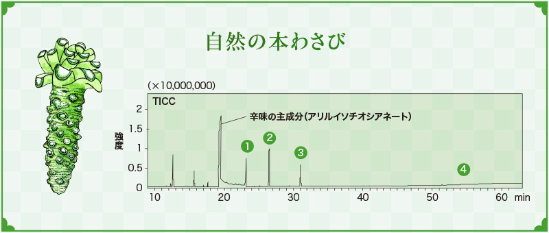 自然の本わさび TICC