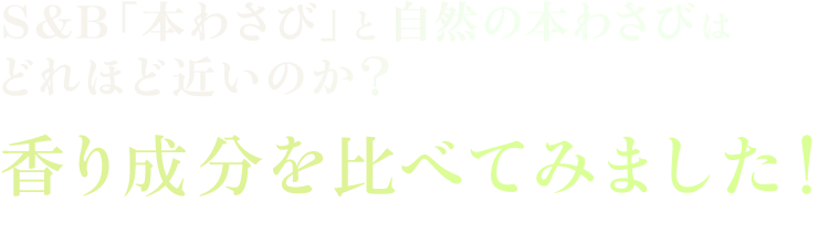 S&B「本わさび」と自然の本わさびはどれほど近いのか？香り成分を比べてみました！