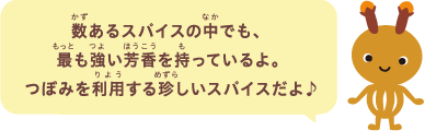 数あるスパイスの中でも、最も強い芳香を持っているよ。つぼみを利用する珍しいスパイスだよ♪