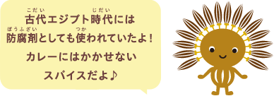 古代エジプト時代には防腐剤としても使われていたよ！カレーにはかかせないスパイスだよ♪