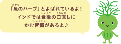 「魚のハーブ」とよばれているよ！インドでは食後の口直しにかむ習慣があるよ♪