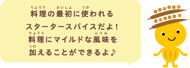 料理の最初に使われるスタータースパイスだよ！料理にマイルドな風味を加えることができるよ♪
