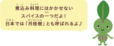 煮込み料理にはかかせないスパイスの一つだよ！日本では「月桂樹」とも呼ばれるよ♪