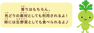 香りはもちろん、色どりの素材としても利用されるよ！時には生野菜としても食べられるよ♪
