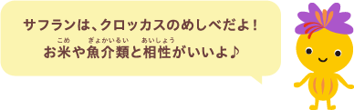 サフランは、クロッカスのめしべだよ！お米や魚介類と相性がいいよ♪