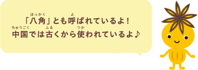 「八角」とも呼ばれているよ！中国では古くから使われているよ♪