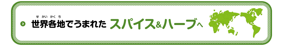 世界各地でうまれた スパイス＆ハーブへ