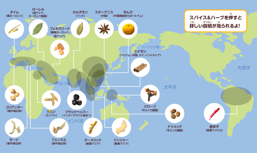 世界各地でうまれたスパイス＆ハーブ（スパイス＆ハーブの主な原産地）