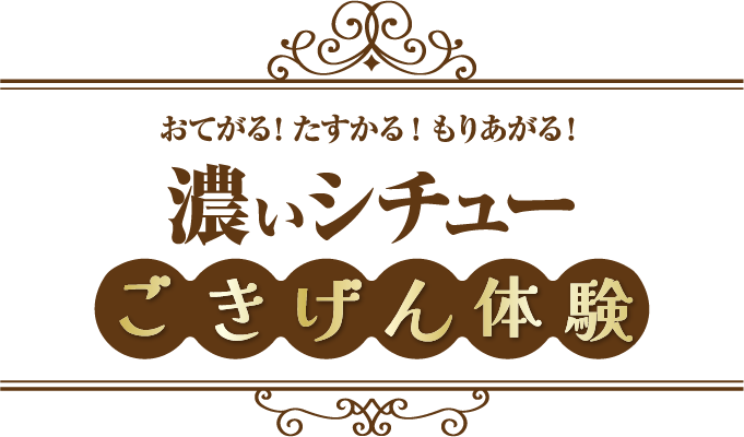 おてがる！たすかる！もりあがる！　濃いシチュー　ごきげん体験