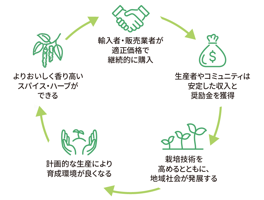 輸入者・販売業者が適正価格で継続的に購入 → 生産者やコミュニティは安定した収入と奨励金を獲得 → 栽培技術を高めるとともに、地域社会が発展する → 計画的な生産により育成環境がよくなる → よりおいしく香り高いスパイス・ハーブができる → （最初に戻る）