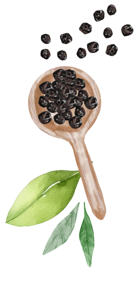 ORGANIC SPICEからはじめるサステナブルプロジェクト