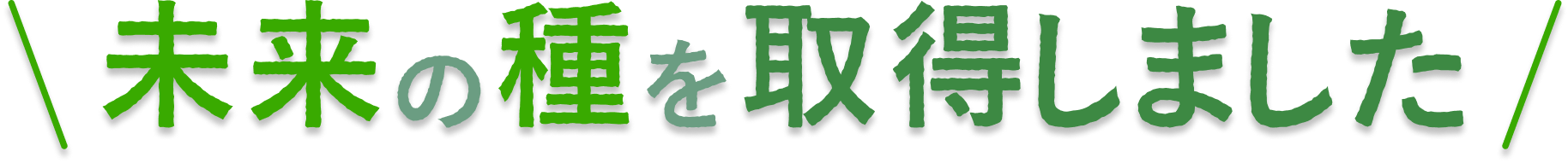 未来の種を取得しました
