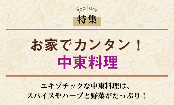 お家でカンタン!中東料理