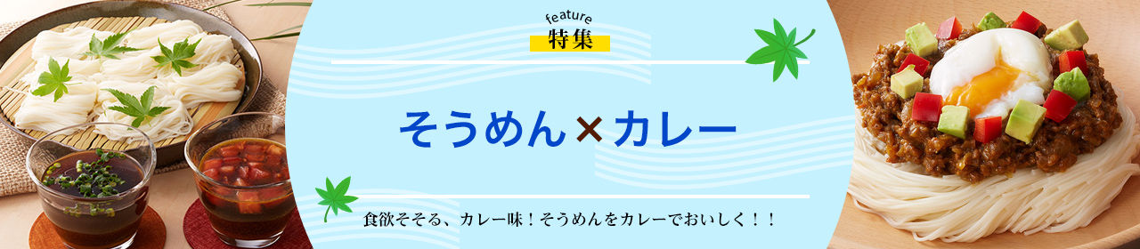 そうめん×カレー