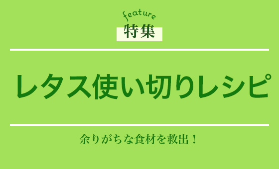 レタス使い切りレシピ