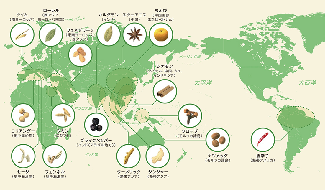 カレーの原料となる主なスパイスの原産地